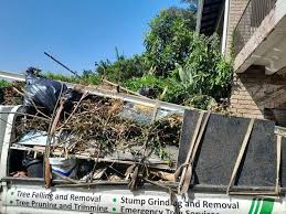 Best Office Cleanout  in Naples Manor, FL